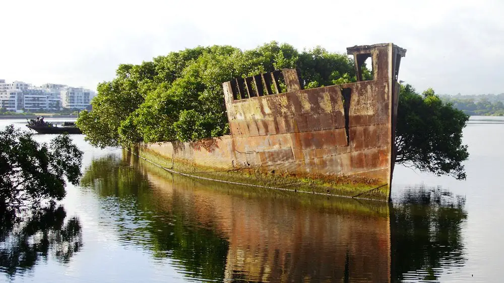 SS Ayrfield is one of the many abandoned ships around the world and coastal shipwrecks